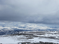 Line_20220717_62d432a516c5a.jpg