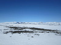 Line_20220717_62d433ac1cae6.jpg