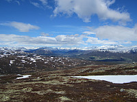 Line_20220717_62d43499263e1.jpg