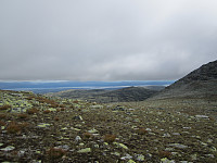 Line_20220717_62d453be1d804.jpg