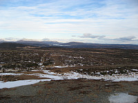 Line_20220718_62d5429a06318.jpg