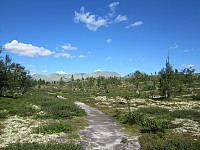 Line_20220718_62d54cd5736bf.jpg