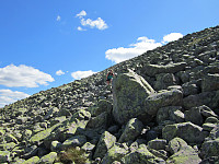 Line_20220718_62d54cd9e334a.jpg