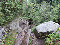 Line_20220718_62d54ed3eb776.jpg