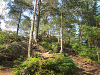 Line_20220718_62d54eda5a9c1.jpg