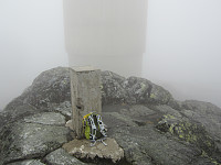Line_20220718_62d550ba3dc58.jpg