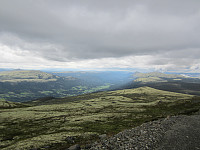 Line_20220718_62d550bb9b87a.jpg