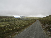 Line_20220718_62d552f9ace17.jpg