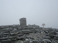 Line_20220718_62d552fd58bf0.jpg