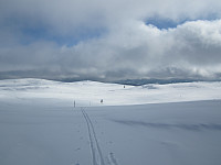 Line_20220718_62d57de9da895.jpg