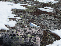 Line_20220718_62d59814c2d3b.jpg