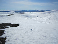 Line_20220718_62d59817ea96e.jpg