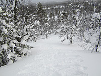 Line_20220718_62d5990f052c2.jpg