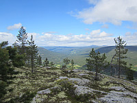 Line_20220718_62d59eb2145a3.jpg