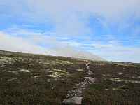 Line_20220718_62d5a1de35847.jpg