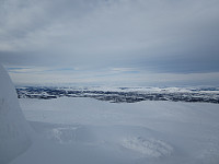 Line_20220718_62d5a2a2464a4.jpg