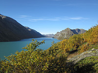 Line_20220719_62d6d2d3346b6.jpg