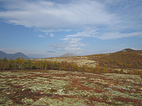 Line_20220719_62d6d37213129.jpg