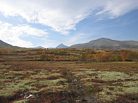 Line_20220719_62d6d3734295e.jpg