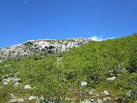 Line_20220719_62d6db13a1887.jpg