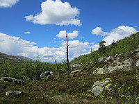 Line_20220719_62d6db156f036.jpg