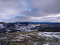 Line_20220721_62d987cc88468.jpg