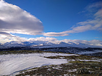 Line_20220721_62d987d34b16d.jpg