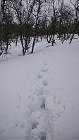 Line_20220721_62d99860de833.jpg