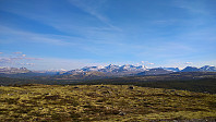 Line_20220721_62d99c7850022.jpg