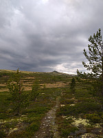 Line_20220721_62d99e3d67742.jpg
