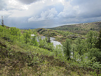 Line_20220724_62dd67878e2d7.jpg