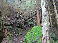 Line_20220801_62e77d16a9a48.jpg