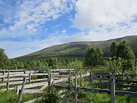 Line_20220801_62e77fd10a55b.jpg