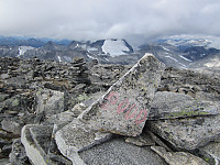 Line_20220801_62e78655e2856.jpg