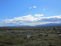 Line_20220801_62e7876b6e164.jpg