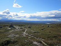 Line_20220801_62e7876cbf1cb.jpg