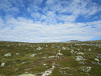 Line_20220801_62e7876e14e25.jpg