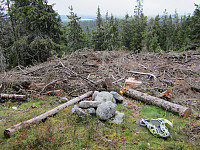 Line_20220801_62e78949b864e.jpg