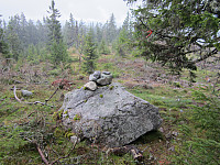 Line_20220801_62e7894dd77af.jpg