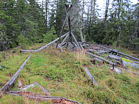 Line_20220801_62e78950d97d9.jpg