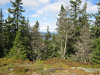 Line_20220801_62e78d282129b.jpg