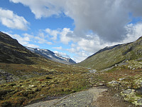 Line_20220801_62e78ec9e8998.jpg