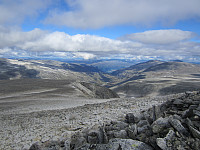 Line_20220801_62e78ed34cb85.jpg