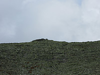 Line_20220801_62e790e240c8c.jpg
