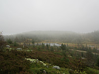 Line_20220801_62e797074738d.jpg