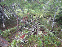 Line_20220801_62e79708663d6.jpg