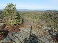 Line_20220801_62e7aad53c7a6.jpg