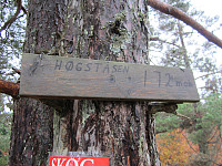 Line_20220801_62e7af0968571.jpg
