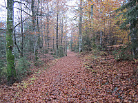 Line_20220801_62e7af0b3f419.jpg