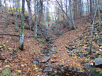 Line_20220801_62e7af0d518f4.jpg